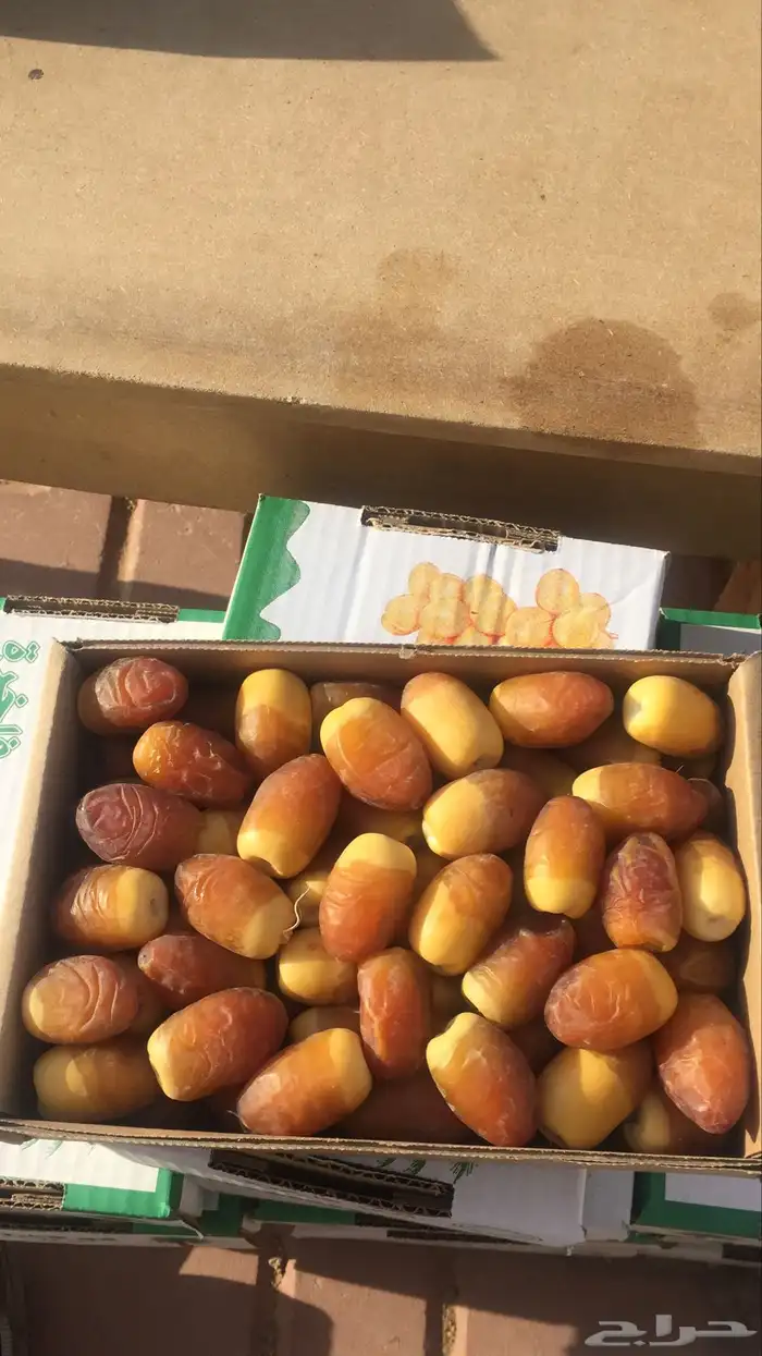 كل انواع التمور( خراف - كنيز - رطب -فله ) و الطحينة والدبس 19