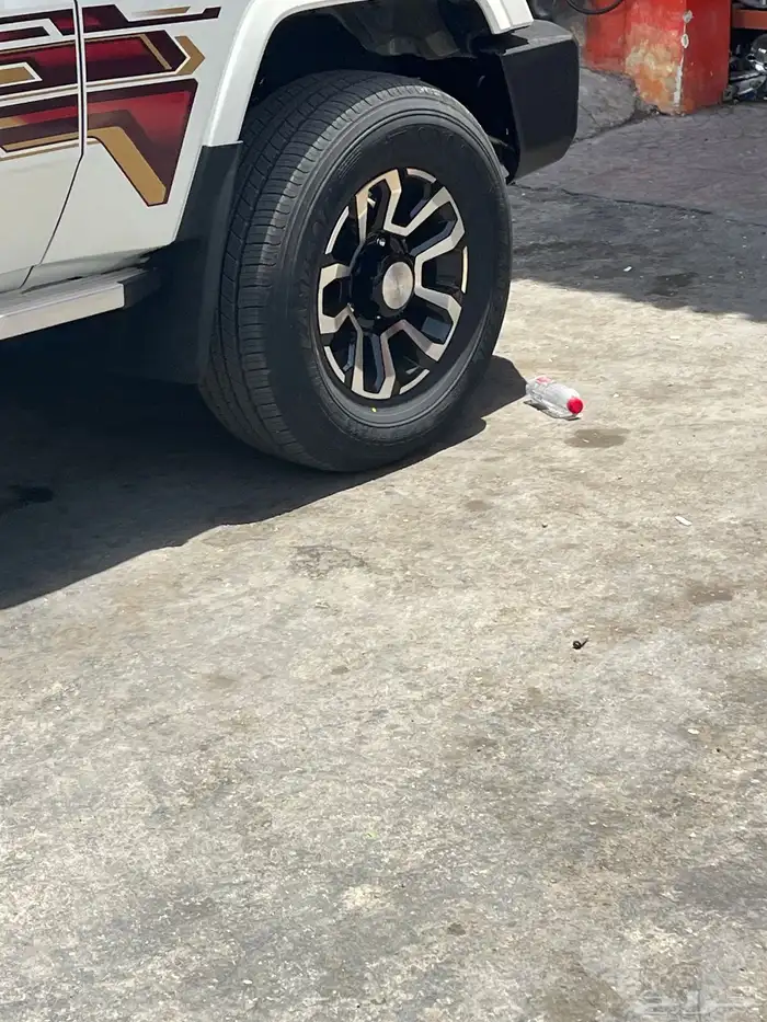 جنوط شاص 2024 2