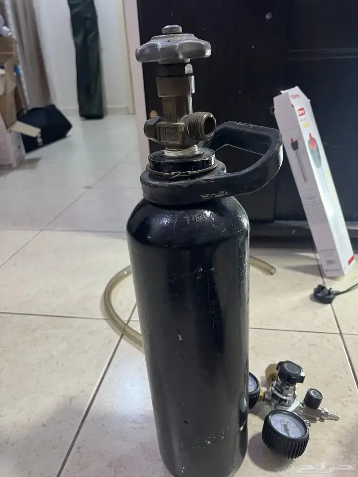 سمك الزينه 2