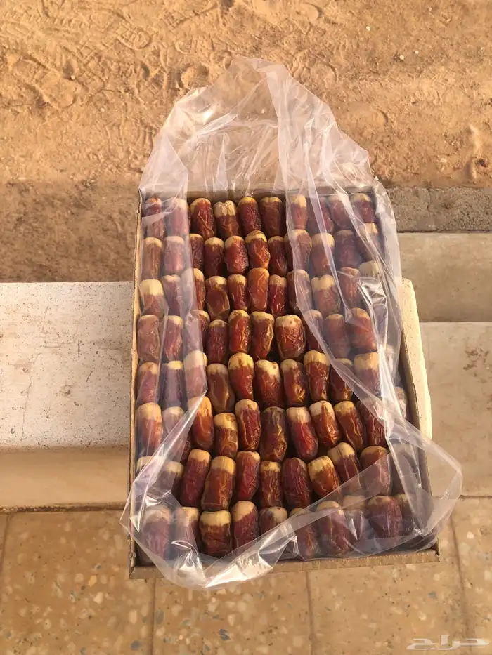 كل انواع التمور( خراف - كنيز - رطب -فله ) و الطحينة والدبس 14