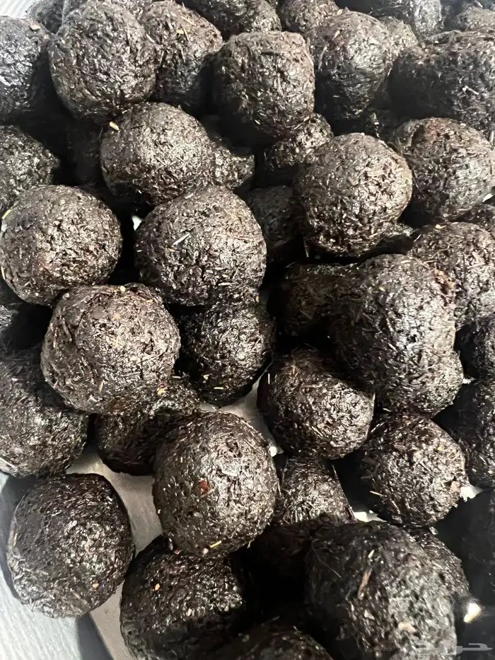 معمول دوسري فاخر 4