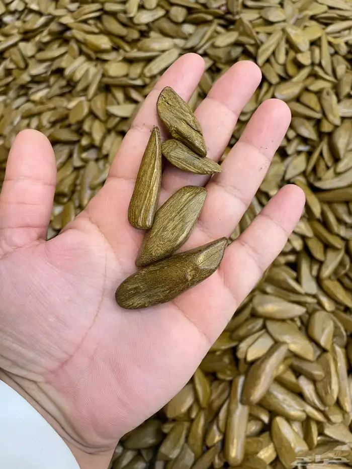 عود بخور 2