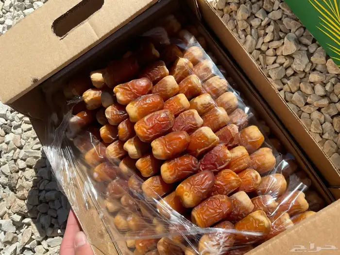 كل انواع التمور( خراف - كنيز - رطب -فله ) و الطحينة والدبس 12