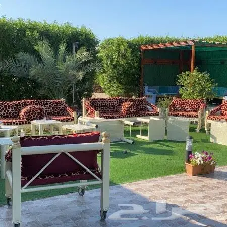 كراسي حديد 5
