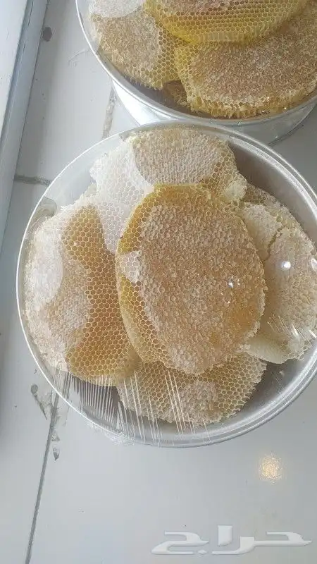 عسل سدر جبلي ذمه وامانه 10