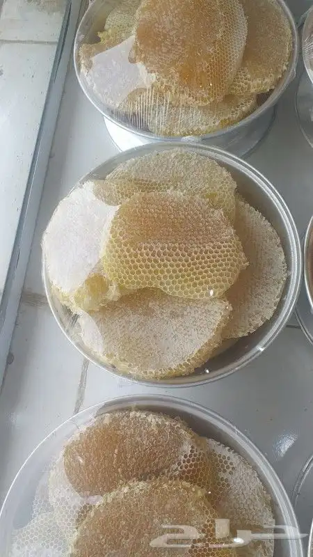 عسل سدر جبلي ذمه وامانه 7