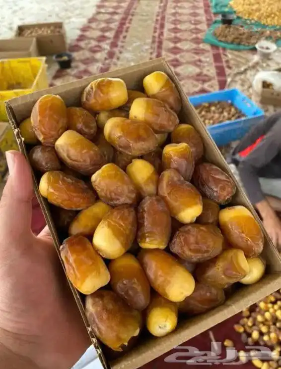 كل انواع التمور( خراف - كنيز - رطب -فله ) و الطحينة والدبس 18