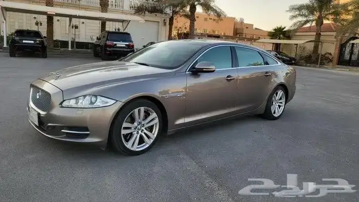 جاكور 2013 XLJ 12