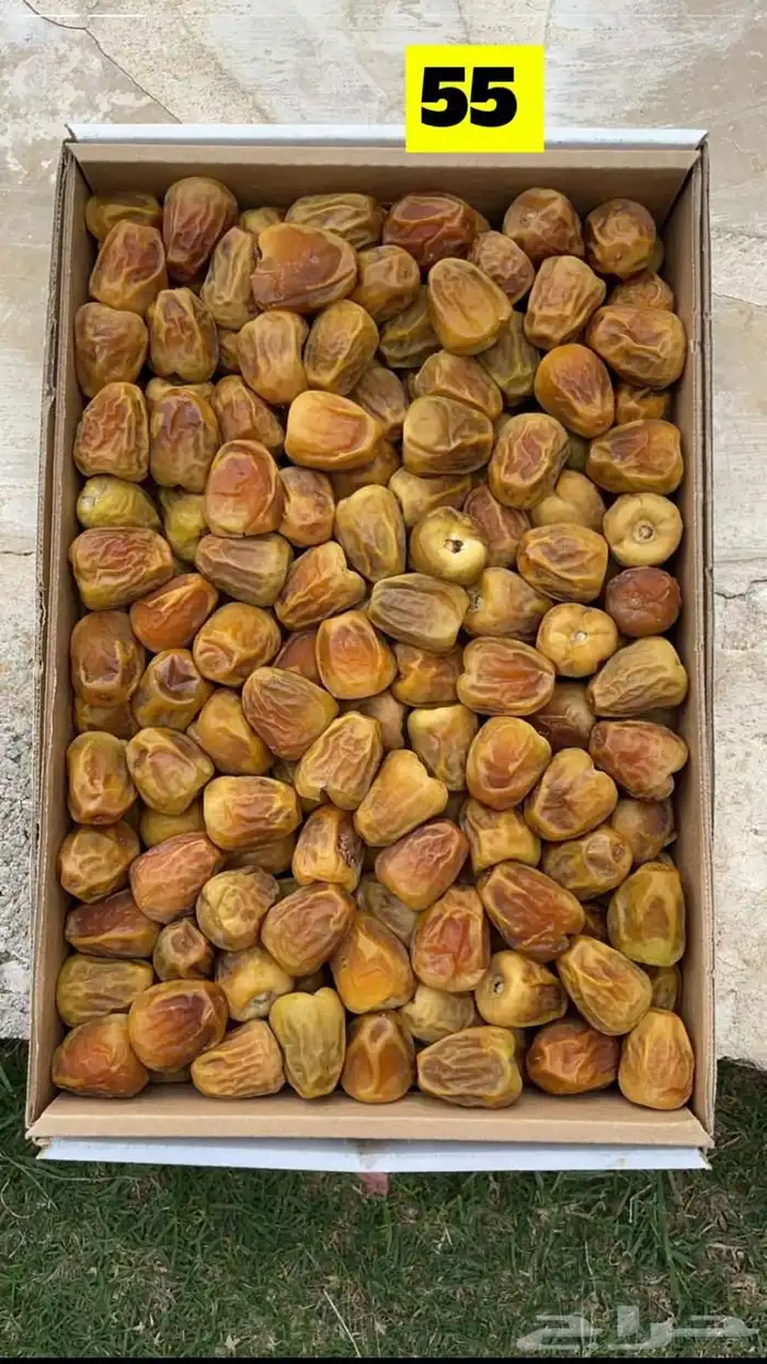 كل انواع التمور( خراف - كنيز - رطب -فله ) و الطحينة والدبس 10