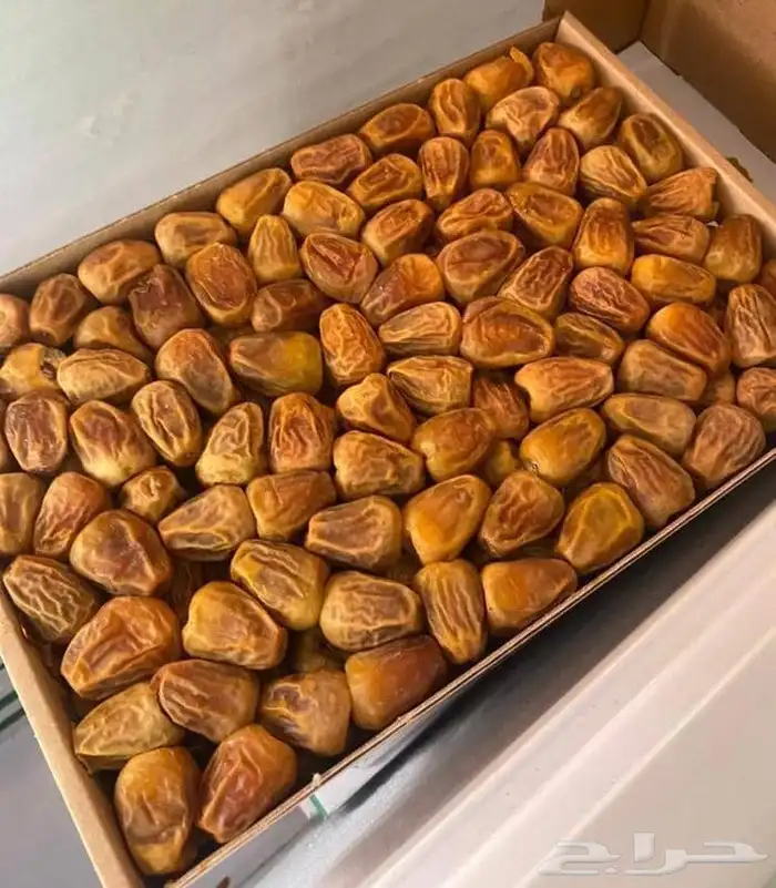 كل انواع التمور( خراف - كنيز - رطب -فله ) و الطحينة والدبس 13