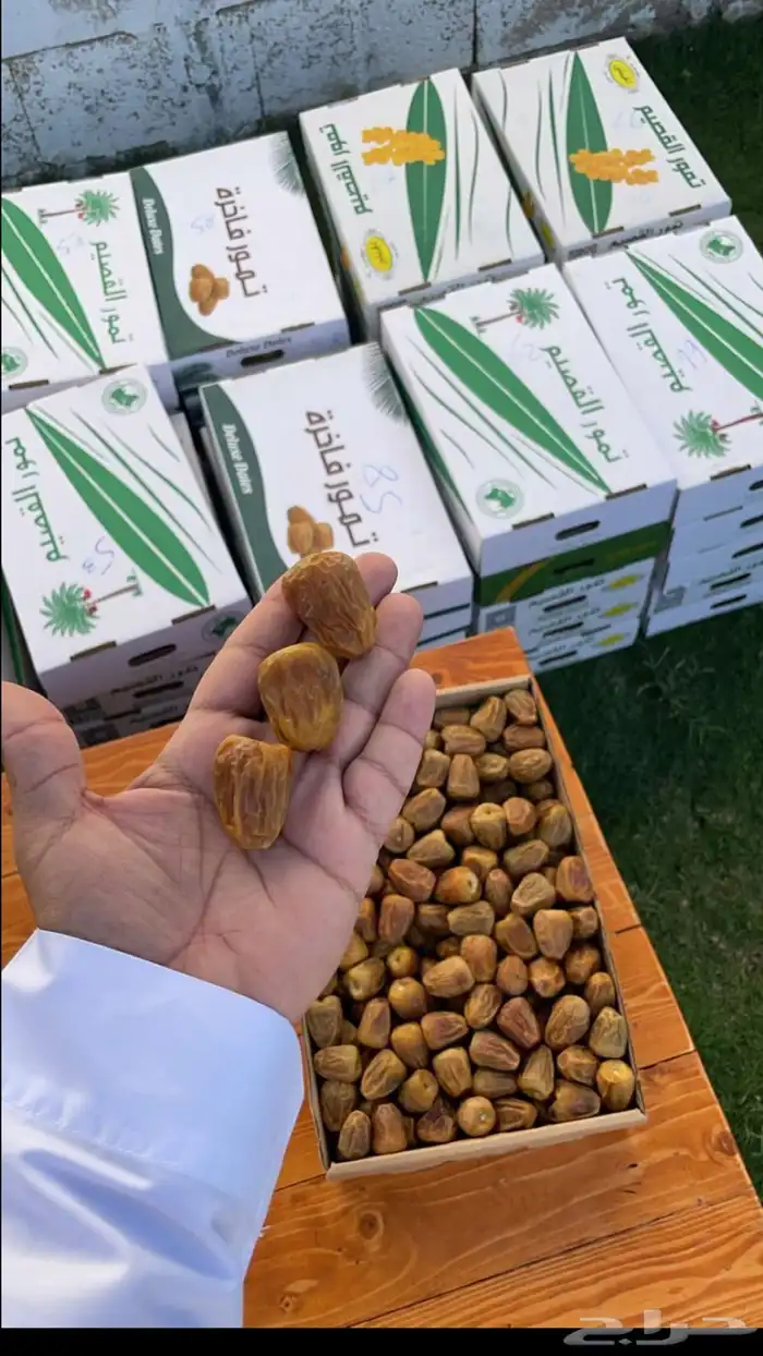 كل انواع التمور( خراف - كنيز - رطب -فله ) و الطحينة والدبس 9