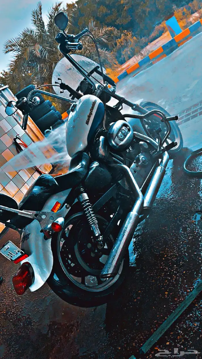 هارلي سبوستر معدل نظيف Harley super low 2015 4
