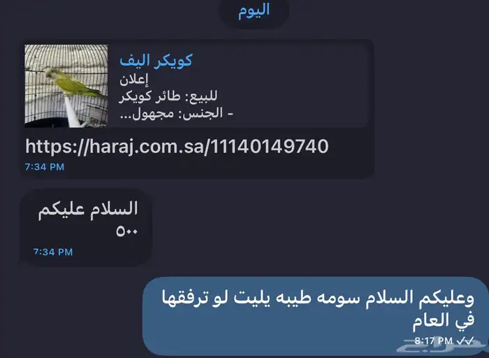 كويكر اليف (تم البيع) 3