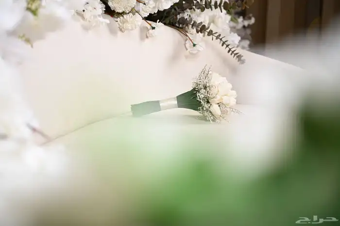 مصوره اعراس ومناسبات وزواجات 21