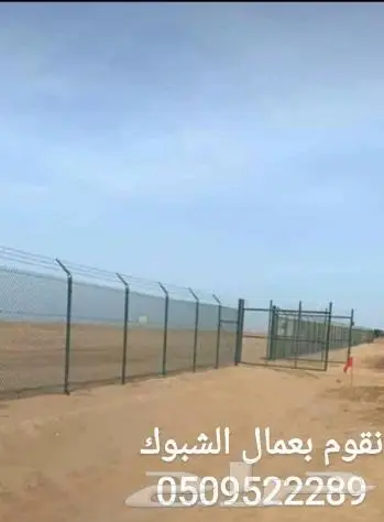 زارعة وتوريد اشجار النخيل وعمل الشبوك 11