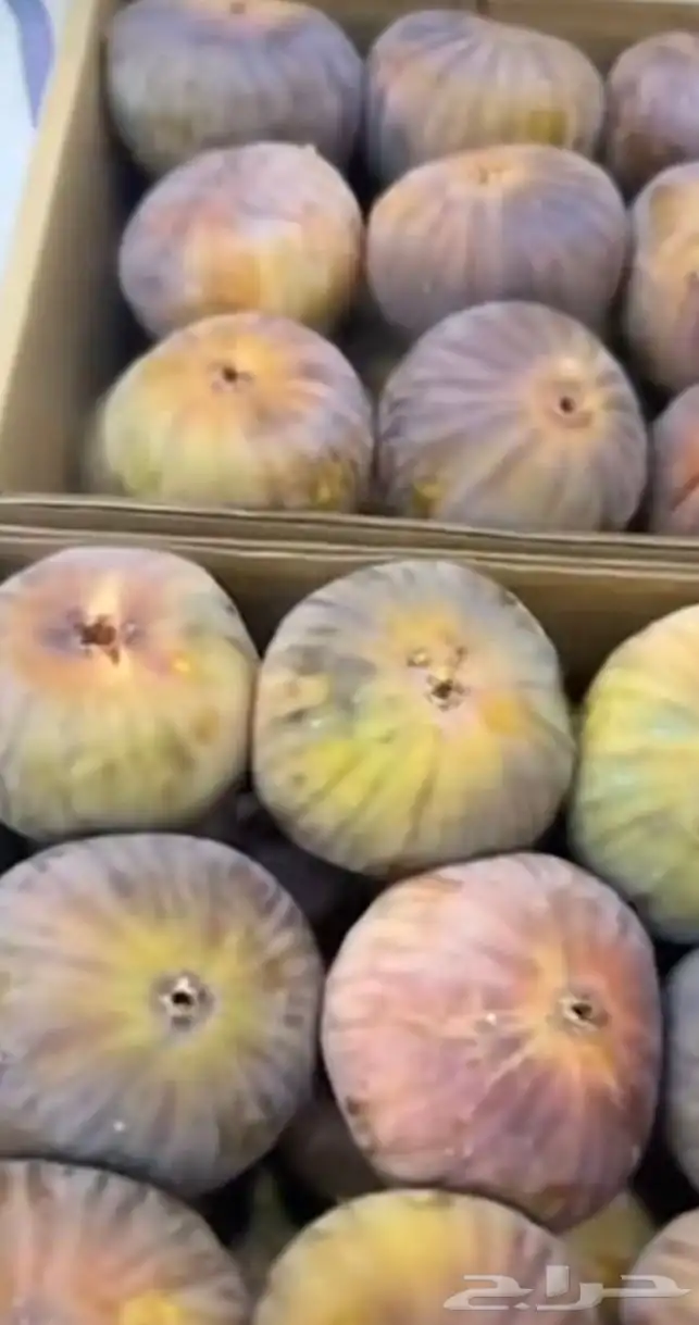 عنب حماط تين برشومي خوخ للبيع من المزرعه طازه بني سعد 7