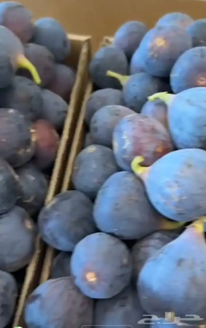 عنب حماط تين برشومي خوخ للبيع من المزرعه طازه بني سعد 8