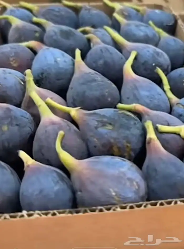 عنب حماط تين برشومي خوخ للبيع من المزرعه طازه بني سعد 6