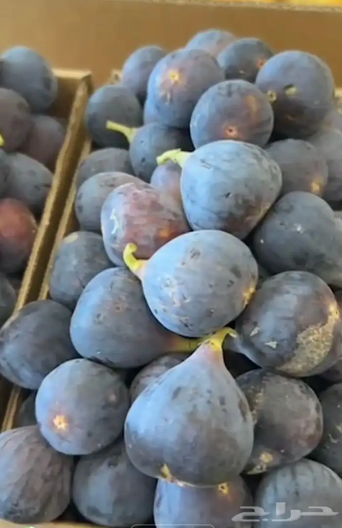 عنب حماط تين برشومي خوخ للبيع من المزرعه طازه بني سعد 3