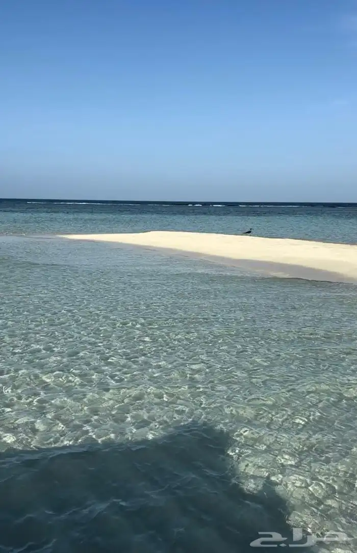 رحلات بحرية في ثول ( كوارم ) 6