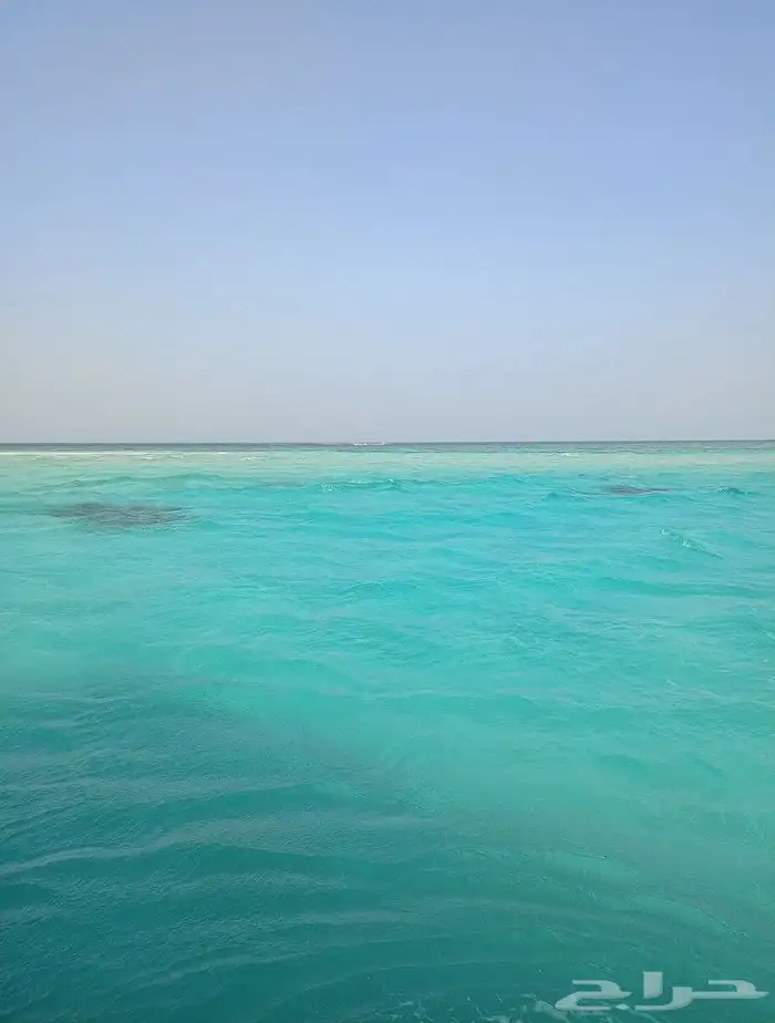 رحلات بحرية في ثول ( كوارم ) 8