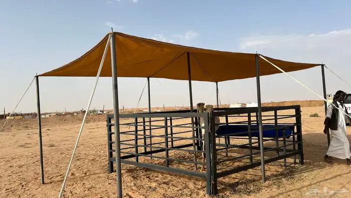 لبيع مضلات الأبل او الغنم 9