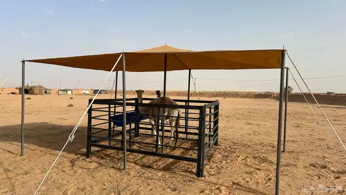لبيع مضلات الأبل او الغنم 10