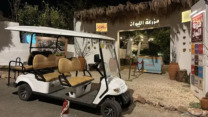 جولف كلوب كار أجار ايجار Golf car 3