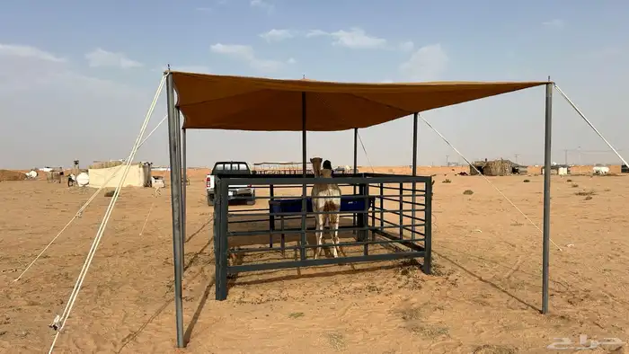 لبيع مضلات الأبل او الغنم 8