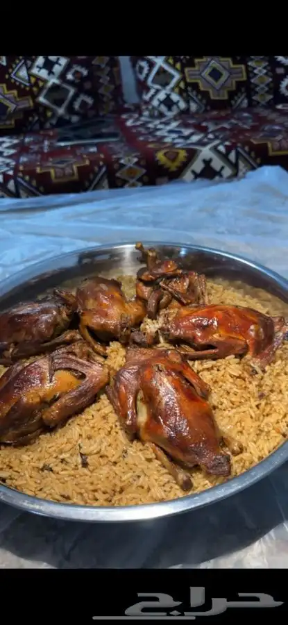 زغليل حمام فرنسي 3