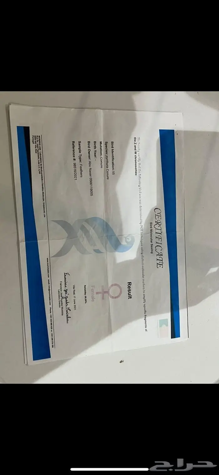 جوز كنيور اناناس تم البيع 4