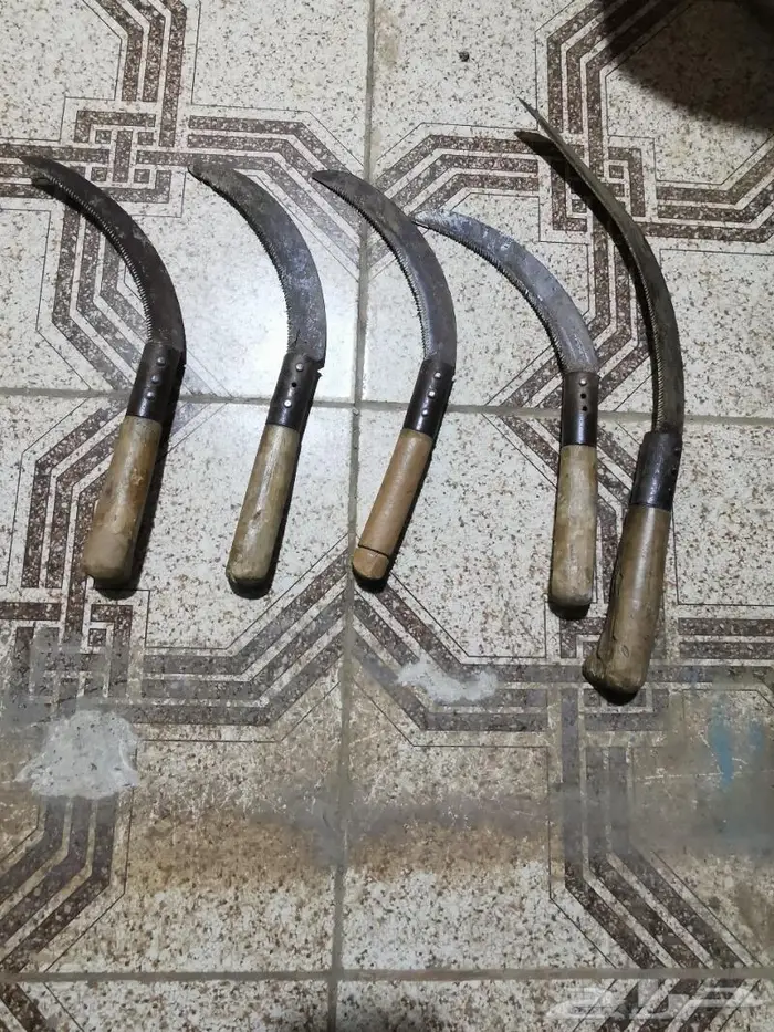 كريكات ومحاش 4