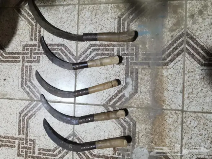 كريكات ومحاش 2
