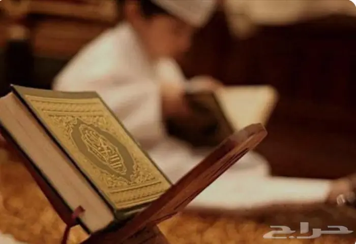 تعليم القرآن الكريم والتجويد ( عن بعد أو حضوري ) 0