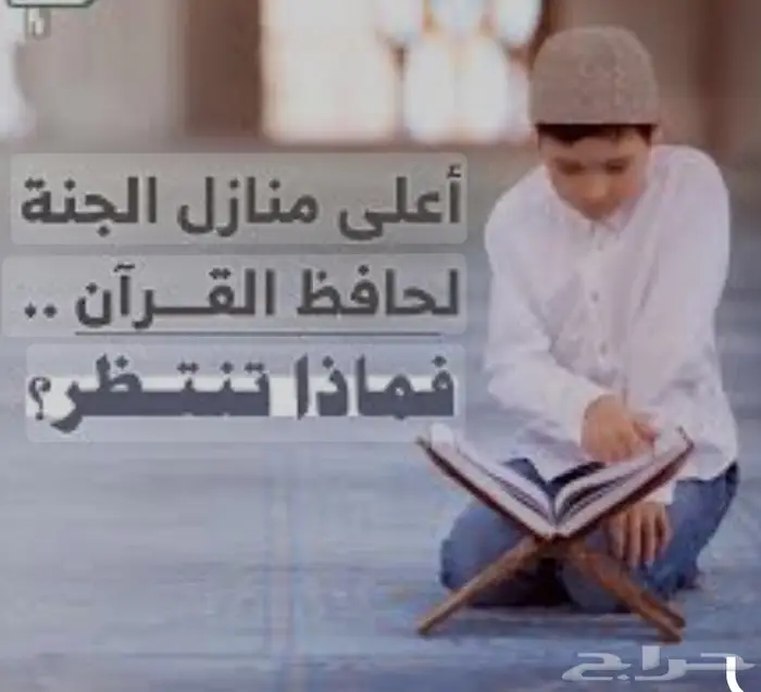 تعليم القرآن الكريم والتجويد ( عن بعد أو حضوري ) 1