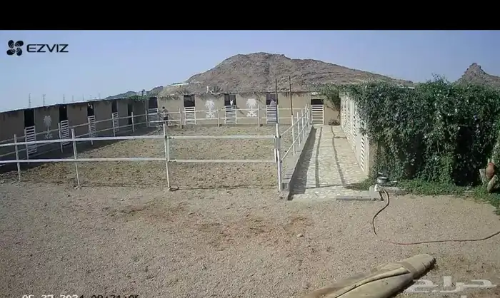 اسطبل للإيجار 0