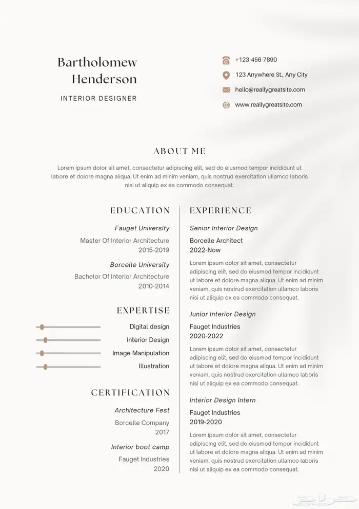تصميم cv احترافي - سيره ذاتيه تنفيذ فوري 27