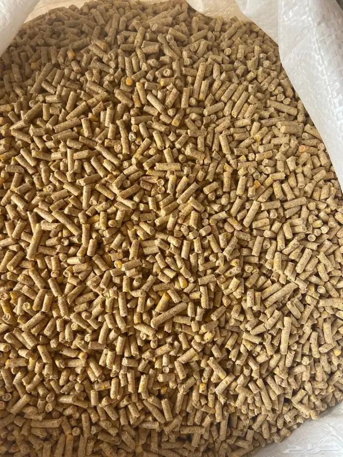 علف حمام بروتين 17 فاخر 6