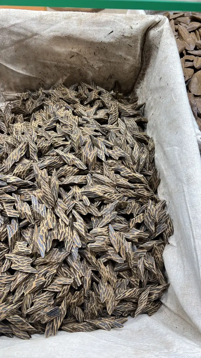 عرض على كمبودي تايقر ملكي 0