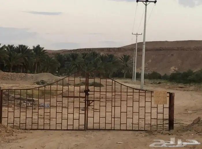 مزرعة للإيجار 0