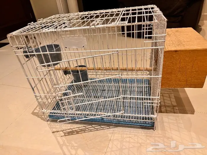 قفص طيور أو قطط مجهز 4