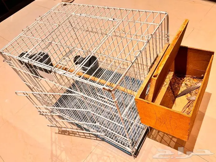 قفص طيور أو قطط مجهز 2