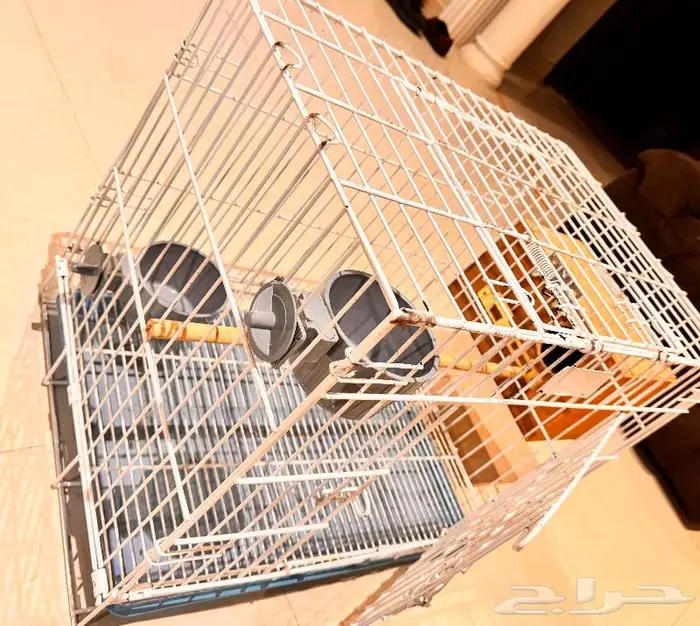 قفص طيور أو قطط مجهز 1