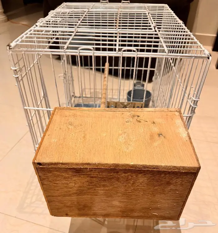 قفص طيور أو قطط مجهز 5