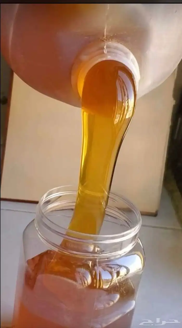 سدر بغيه رقم واحد 1