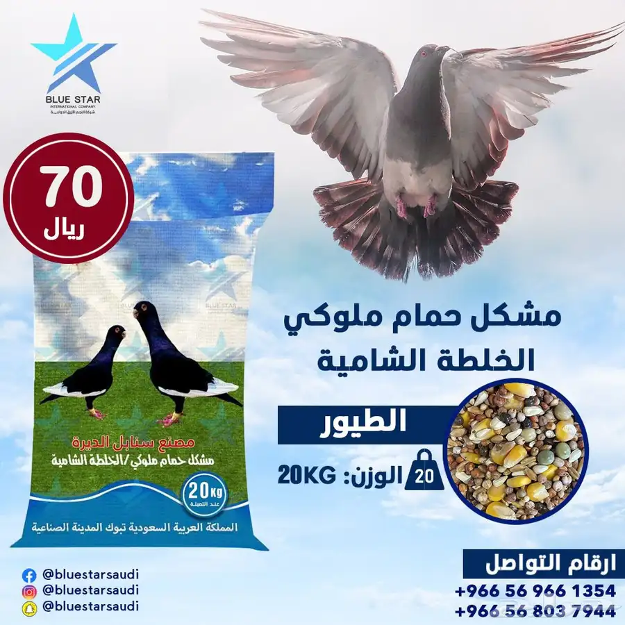 مشكل حمام ملوكي- الخلطة الشامية 0