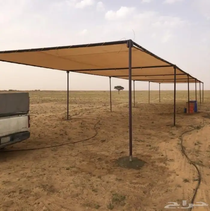 مضلة الجمال مضلة الابل 1