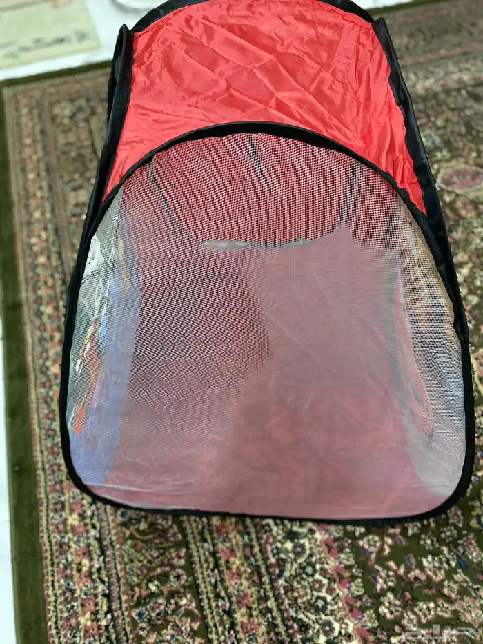 مسابح واللعاب 39