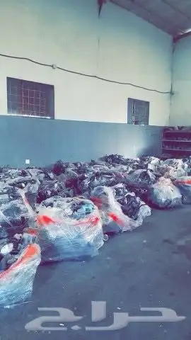 مكاين يوجد تابي وتمارا 3