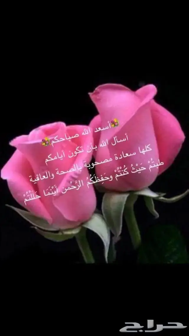 مستعمل اسوارة فضة سلسلة يحتاج تلميع اصلي ايطالي عيار925 23